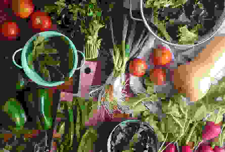 Bunte Auswahl an frischem Gemüse: Tomaten, Frühlingszwiebeln, Radieschen, Petersilie, Blattsalat und grüne Peperoni – perfekt für eine gesunde Mahlzeit.