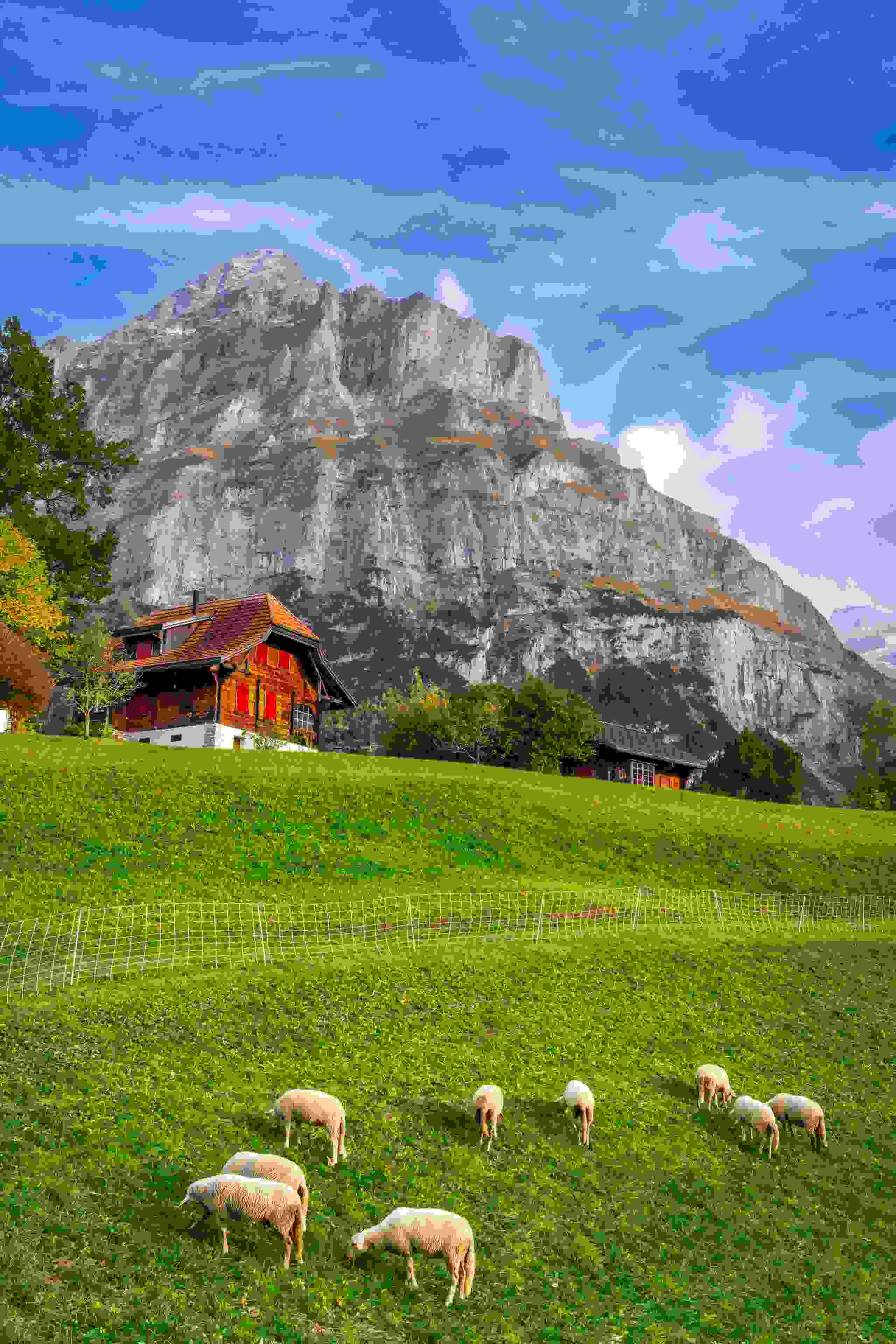 La famille vit pour sa ferme, mais les dettes et l’épuisement la mettent à rude épreuve. Grâce au Don du cœur, elle parvient à faire un premier pas vers une vie digne d’être vécue.

