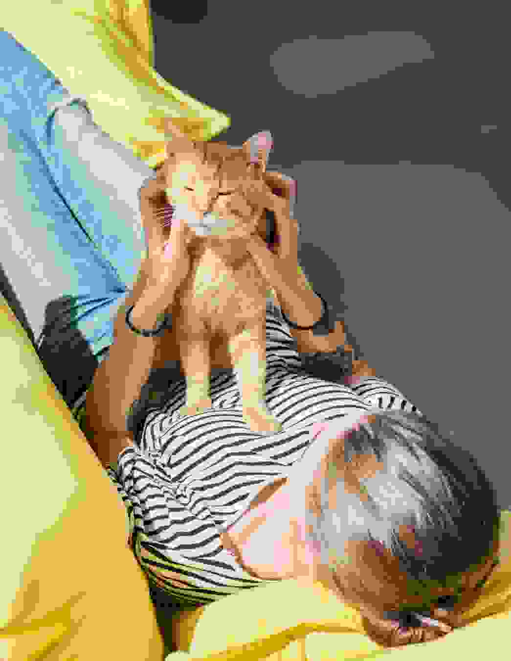 Un’infezione da toxoplasmosi può danneggiare il suo bambino. Scopra a cosa prestare particolare attenzione quando è a contatto con gatti, carne cruda e verdura.

