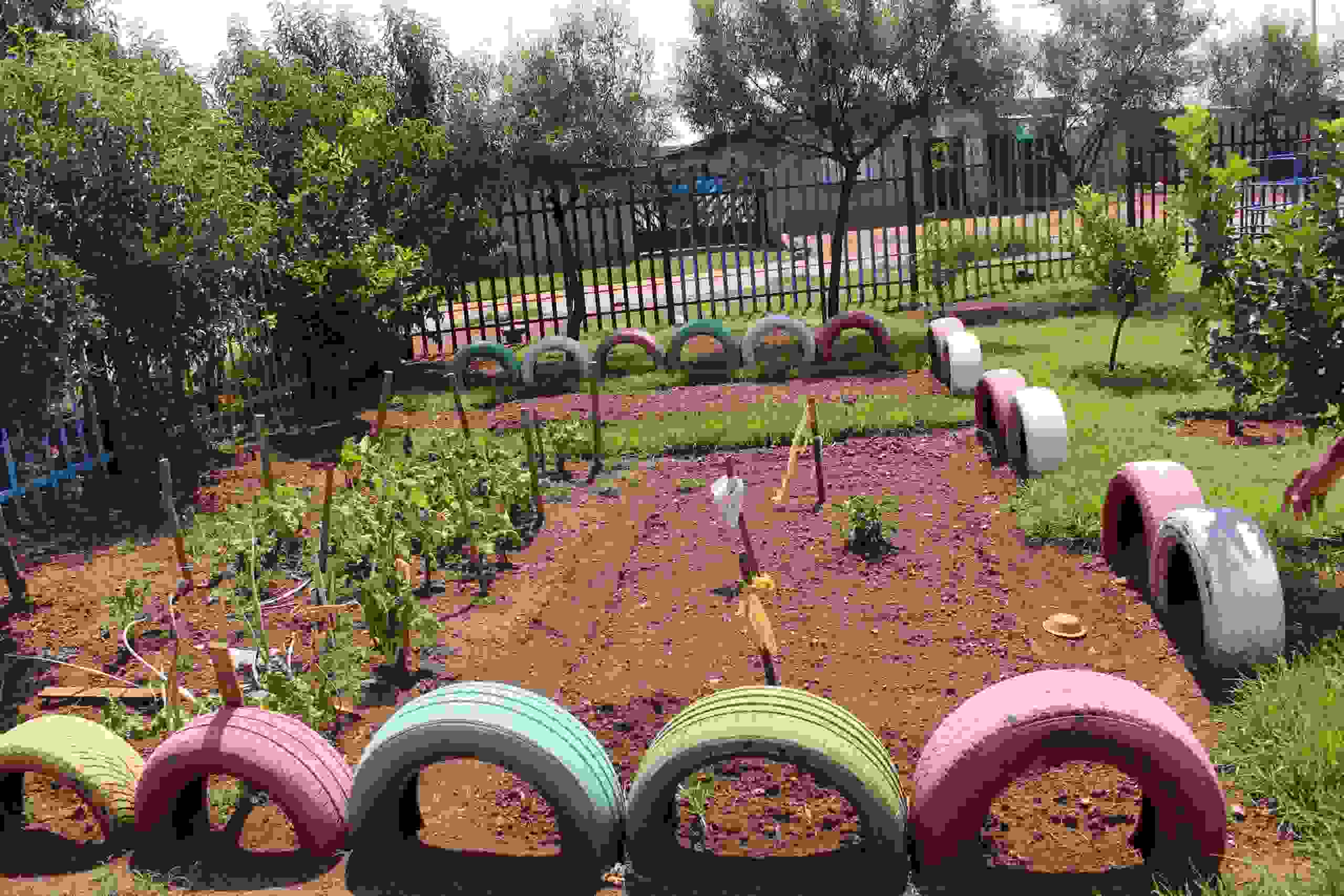 Der Gemüsegarten ist gewachsen – farbig bemalte Altreifen säumen die Beete und zeigen: Auch mit wenig Mitteln lässt sich viel bewirken.