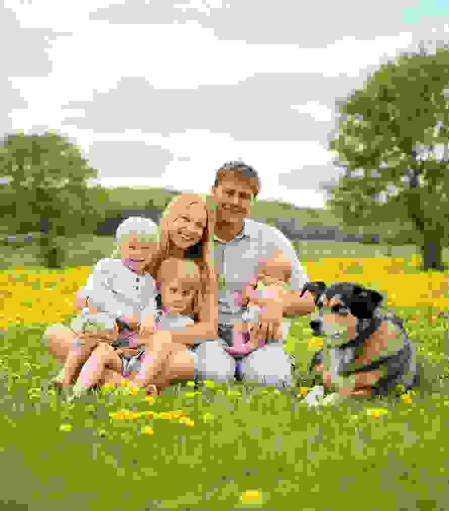 Eine junge Familie mit drei Kindern und einem Hund sitzt fröhlich auf einer blühenden Wiese – Symbol für Neubeginn, Lebensfreude und Zusammenhalt.