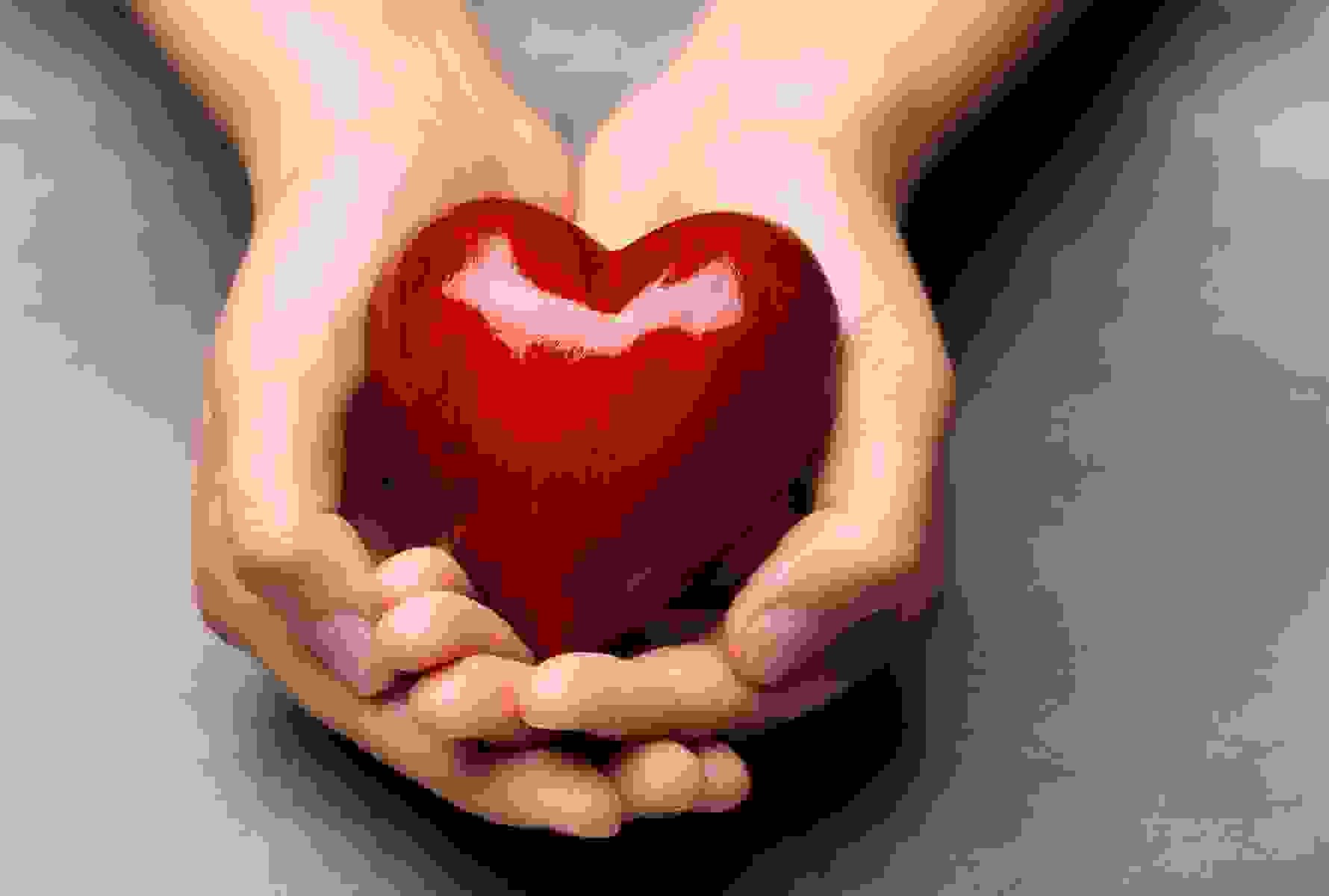 Due mani aperte tengono un cuore – un’immagine di fiducia, vicinanza e aiuto concreto.