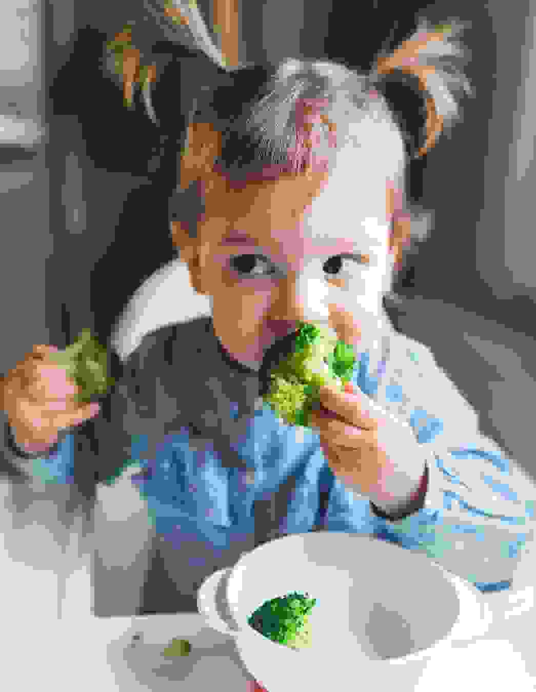 Découvrez des recettes simples de finger food pour bébés et tout-petits. Idéales pour les petites mains, riches en nutriments – parfaites pour le quotidien ou en déplacement.


