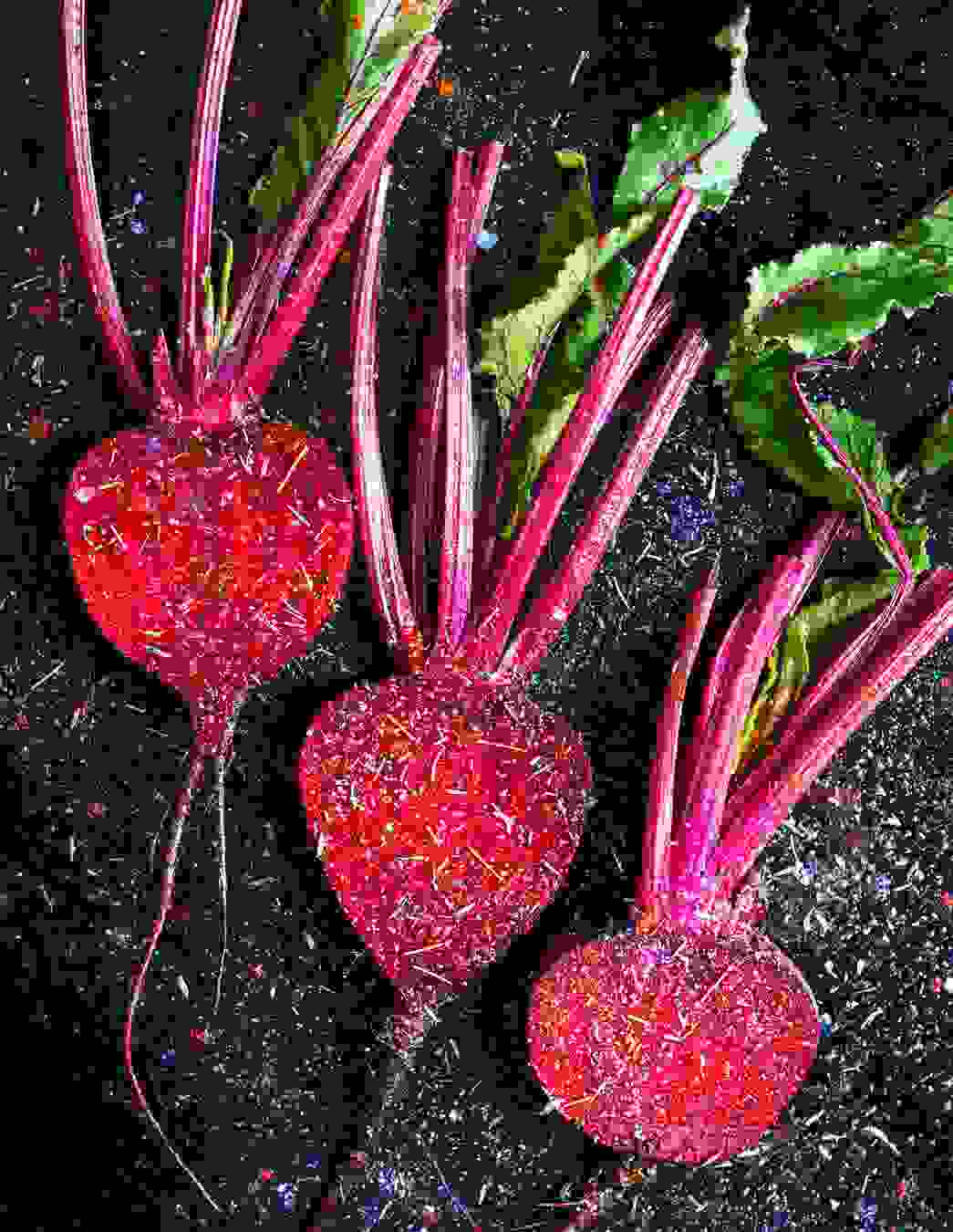 Radici di barbabietola di un rosso intenso – con gambi e foglie. Questa verdura a radice si distingue per il suo contenuto di acido folico, ferro e antiossidanti, e porta colore nella sua cucina invernale.

