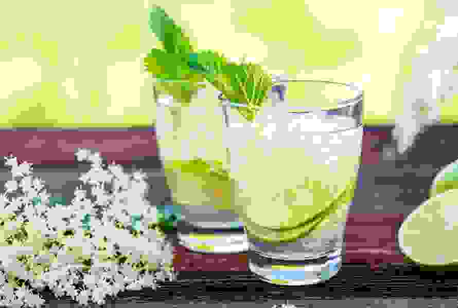 Acqua di sambuco rinfrescante con fiori di sambuco, fettine di limone e lime. Aggiunga le foglie di menta solo poco prima di servire, affinché non diventino amare.

