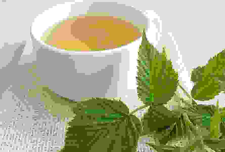 Eine Tasse mit dampfendem Himbeerblättertee steht neben einem frischen Blatt des Himbeerstrauchs – traditionell zur Geburtsvorbereitung eingesetzt.