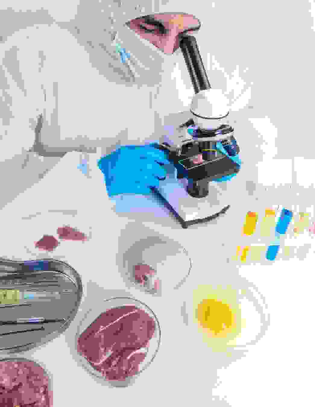Listerien sind hochansteckende Bakterien, die bei Schwangeren ernsthafte Folgen haben können. Mit einfachen Hygiene- und Ernährungstipps schützen Sie sich und Ihr Baby effektiv.