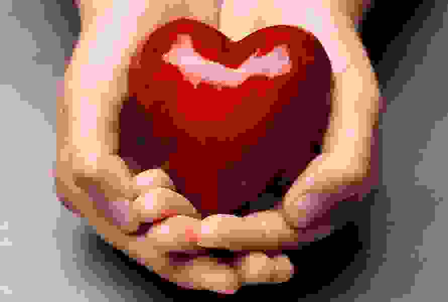 Due mani aperte tengono un cuore rosso – un simbolo di impegno e compassione.