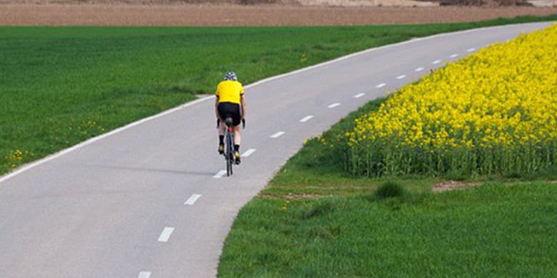 Di quale assicurazione avete bisogno per assicurare la vostra bicicletta o e-bike? L'assicurazione mobilia domestica copre i danni? Avete bisogno di una targa per la vostra e-bike? Leggi come prenderti cura della tua bici o e-bike e scopri come la batteria della tua bici dura più a lungo. 