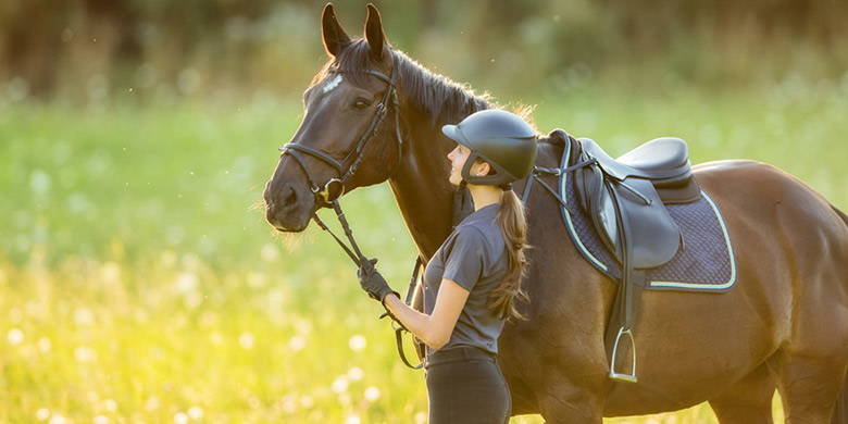 Incidente in motoslitta - quali assicurazioni coprono i danni? I cavalli sono animali da fuga. In caso di panico, si può verificare rapidamente un elevato livello di lesioni personali e/o danni alle cose. Quali assicurazioni supplementari dovreste stipulare come cavaliere o proprietario di cavalli e perché? Maggiori informazioni su questo nel nostro post sul blog