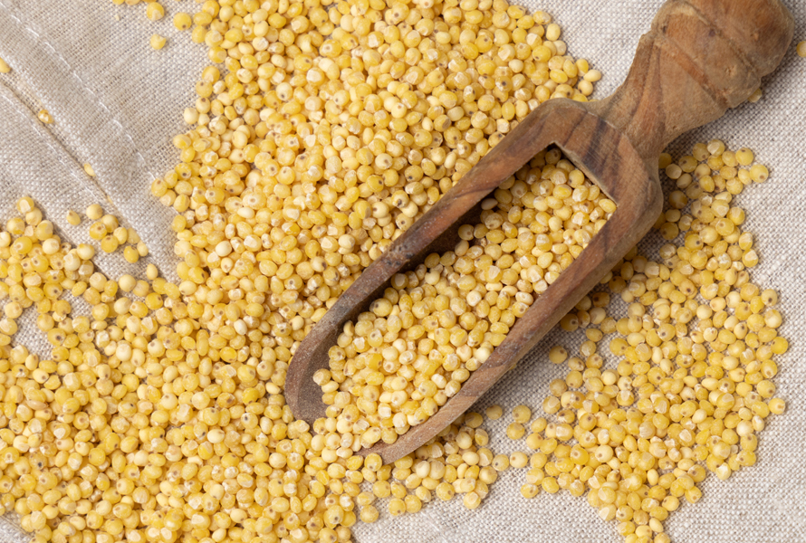 Il miglio e i pseudocereali come fonte di ferro Miglio, quinoa e amaranto essiccati contengono quantità significative di ferro di origine vegetale. Perfetti per sostenere un’alimentazione equilibrata durante la gravidanza.
