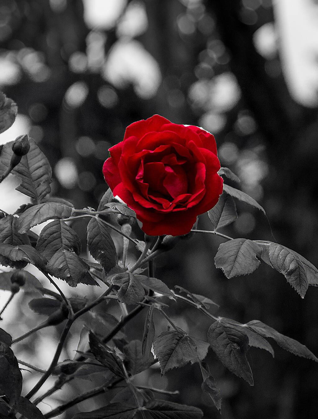Deuil, thérapie et un nouvel élan de vie La perte de leurs deux enfants plonge la famille Kunz dans une profonde détresse. Grâce à une thérapie et au soutien du Don du cœur, elle retrouve peu à peu l’espoir – pour elle-même et pour sa fille.