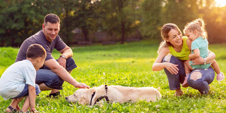 Vale la pena stipulare un'assicurazione per gli animali? Una domanda che ogni proprietario di animali domestici si è sicuramente posto da solo. E se l'amato animale domestico si ammala e i costi aumentano incommensurabilmente? È possibile assicurare cani e gatti a partire da CHF 4.90/mese e cavalli a partire da CHF 29.00/mese.
