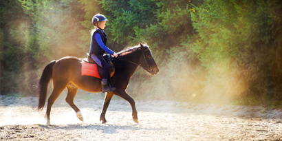 Reitunfall – welche Versicherungen kommen für die Schäden auf? Pferde sind Fluchttiere. Geraten sie in Panik, kann schnell ein hoher Personen- und/oder Sachschaden entstehen. Welche Zusatzversicherungen sollten Sie als ReiterIn oder PferdehalterIn abschliessen & warum? Mehr dazu in unserem Blogbeitrag