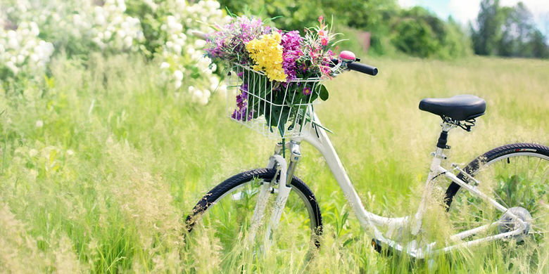 De quelle assurance avez-vous besoin pour assurer votre vélo ou votre e-bike ? L'assurance ménage paie-t-elle en cas de dommages ? Avez-vous besoin d'une plaque d'immatriculation pour votre vélo électrique ? Lisez comment entretenir votre vélo ou votre vélo électrique et découvrez comment la batterie de votre vélo électrique dure plus longtemps. 
