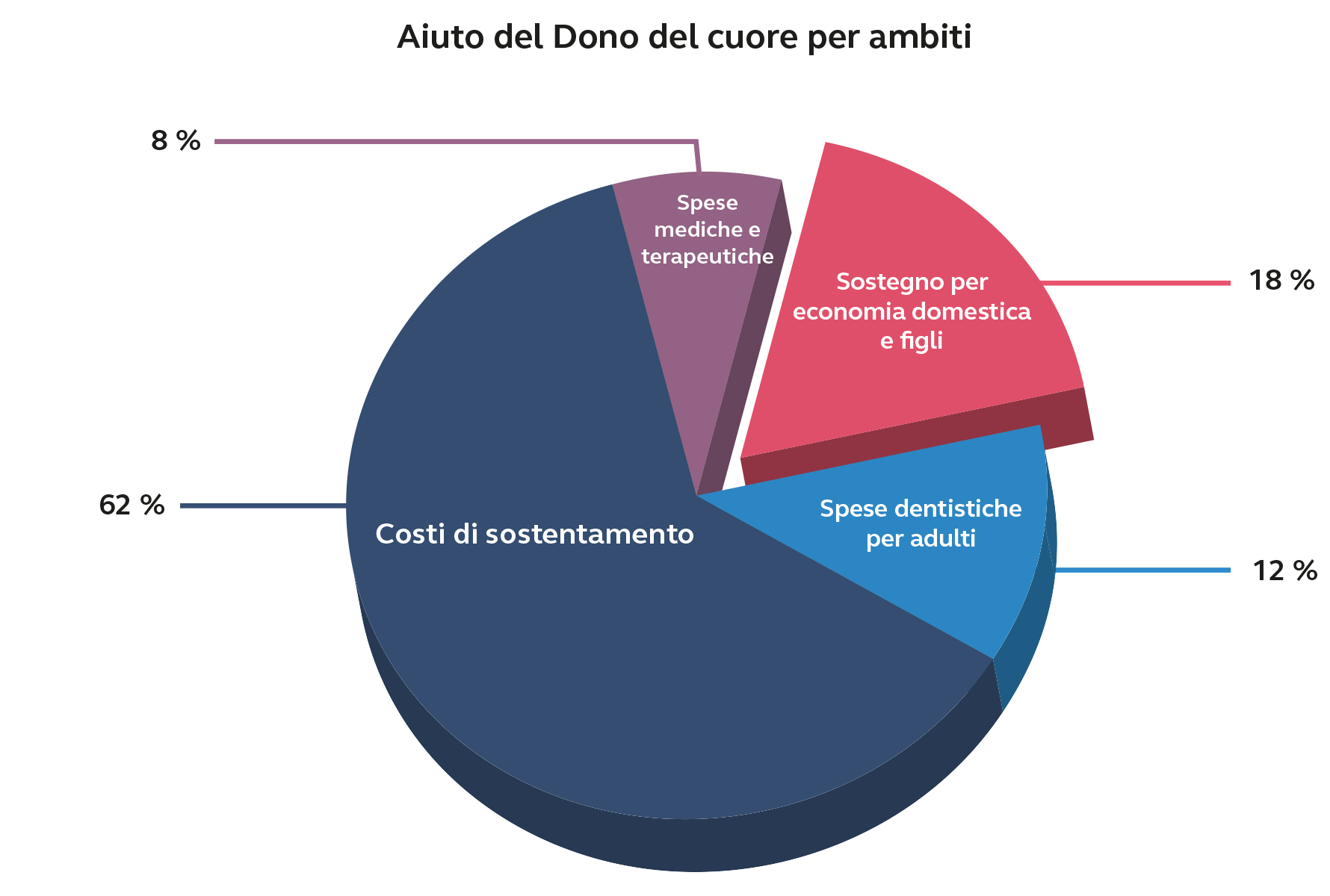 Grafico a torta che mostra la ripartizione percentuale dell’aiuto del Dono del cuore. 62 % per i costi di sostentamento, 18 % per il sostegno domestico e la custodia dei bambini, 12 % per le fatture dentistiche adulti e 8 % per le fatture mediche e terapeutiche.