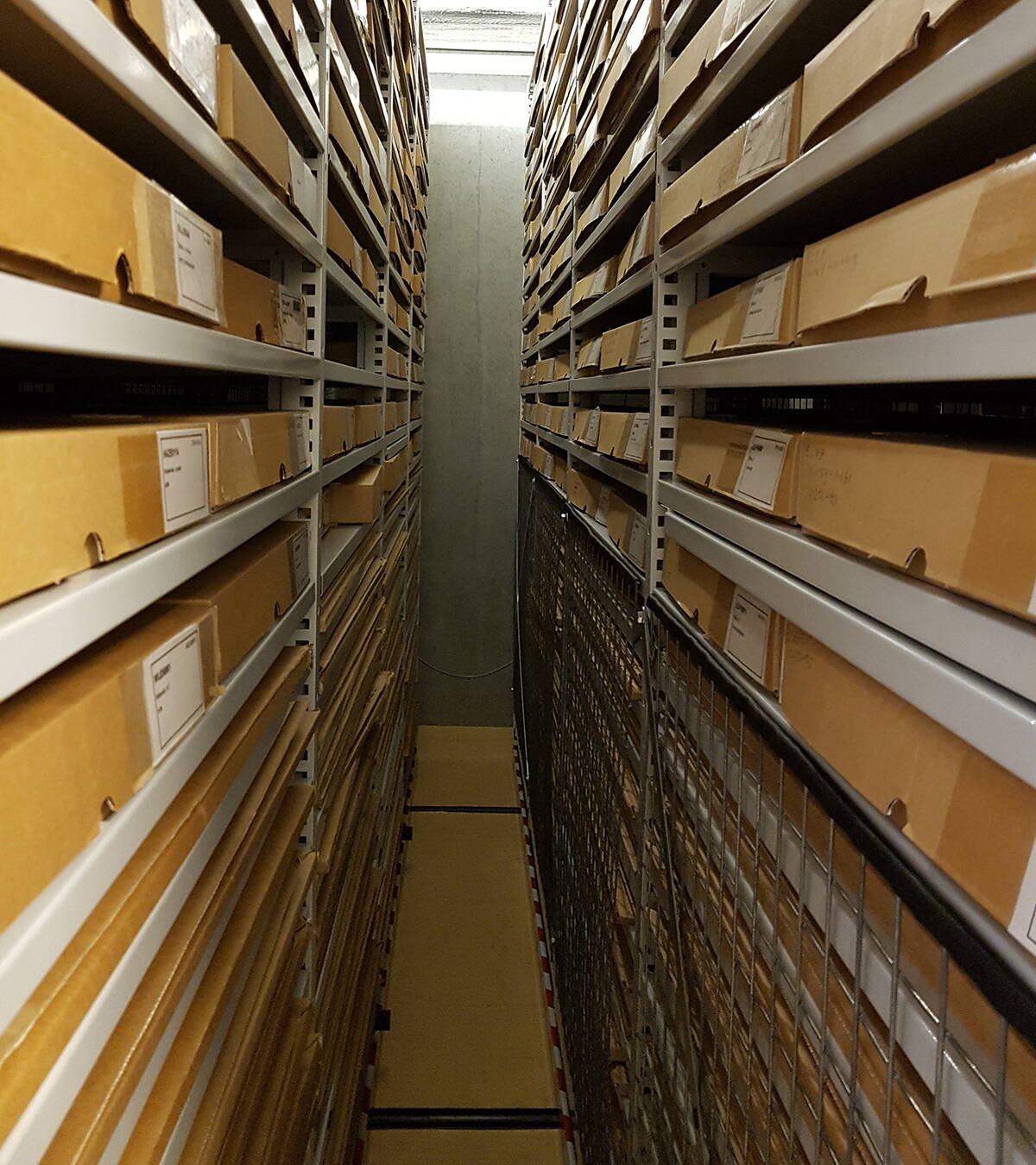 Archivio delle riviste di PRO LIFE Uno sguardo all’archivio ordinato di PRO LIFE, dove i numeri precedenti vengono conservati in modo sicuro per voi.