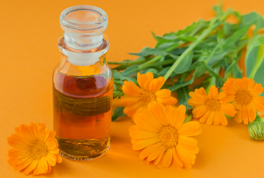 Huile de bain au calendula avec de l’huile de germe de blé Nourrissante et régénérante – l’huile de bain d’un orange éclatant au calendula et à l’huile de germe de blé est idéale pour le soin de la peau, en particulier pendant la grossesse.