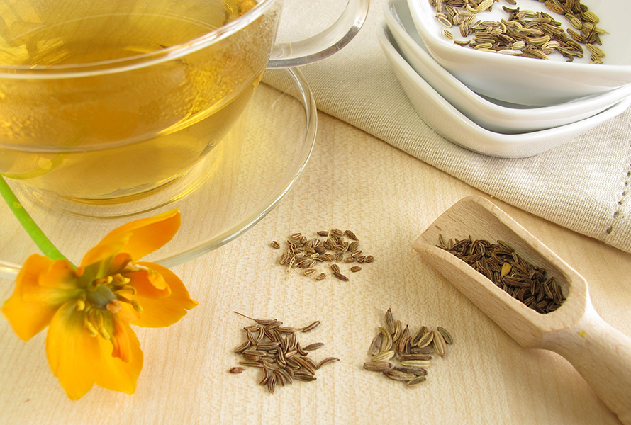 Recette de base du thé d'allaitement Tasse de tisane d’allaitement fraîchement infusée à base de graines de fenouil, d’anis, de carvi et de fenugrec – un mélange classique pour soutenir la lactation.