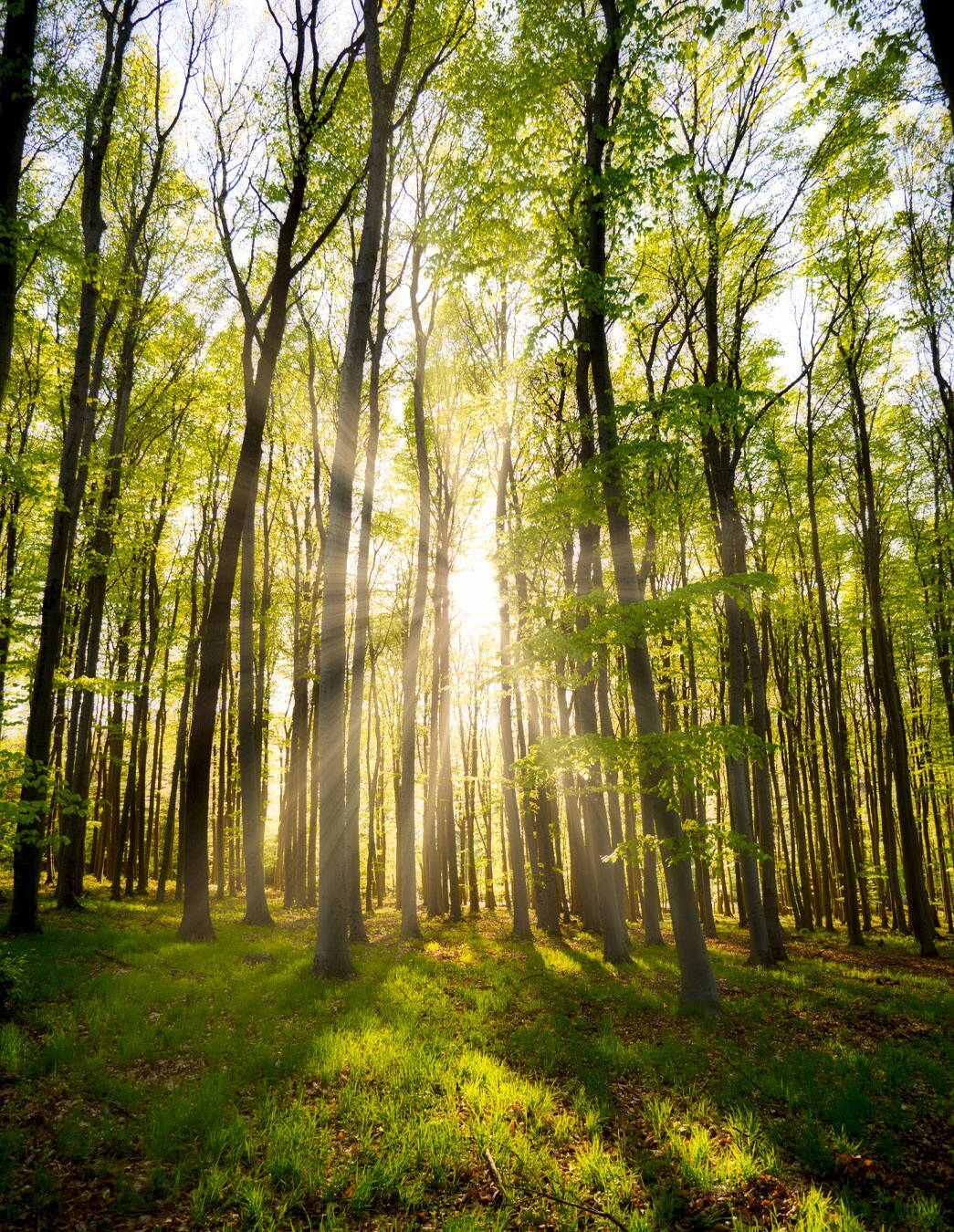 Ensemble, nous sommes forts: aide grâce au Don du cœur Qu’il s’agisse d’une oreille attentive ou d’un soutien financier – Don du cœur apporte de l’espoir dans les situations de vie difficiles et fait la différence grâce aux dons de membres pour les membres.