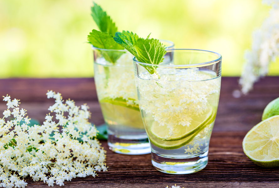 Acqua di sambuco – bevanda floreale e fresca per dissetarsi Acqua di sambuco rinfrescante con fiori di sambuco, fettine di limone e lime. Aggiunga le foglie di menta solo poco prima di servire, affinché non diventino amare.