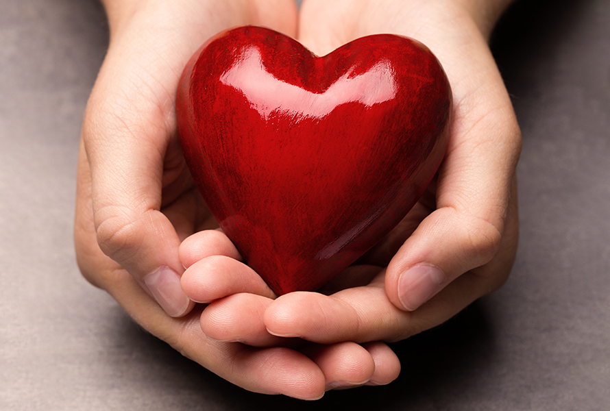 Mostrare il cuore, donare speranza Due mani aperte tengono un cuore rosso – un simbolo di impegno e compassione.