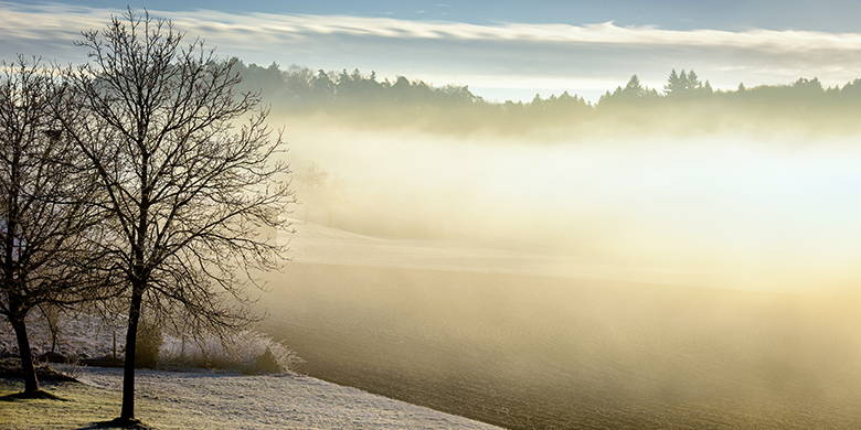 Blog Schwangerschaft – Vitamin D-Mangel. Wie wirkt sich ein Mangel des Vitamin D3 aus? Die Symptome umfassen Nervösität, Schlafstörungen, Kreislaufstörungen, Antriebslosigkeit, Muskelschwäche und können sogar depressive Verstimmungen auslösen. Mehr zum Thema können Sie im Schwangerschaftsblog nachlesen.